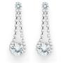 Silver Tone Hanging Evening Earrings