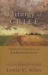 A Liturgy of Grief Paperback