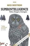 Superintelligence - Paths Dangers Strategies Paperback
