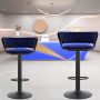 Kc Furn-ginko Barstool Blue Set Of 2