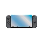 Tempered Glass Screen Protector 2 Pack For Nintendo Switch