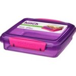 Sandwich Box Purple 450ML