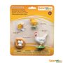 Safariology Life Cycle Of A Chicken