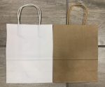 Gift Bag Plain 21CM 21 Cm
