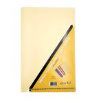 Manila Folders 230GM 100 Buff