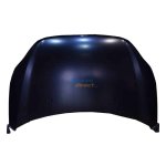 Ford Figo Bonnet 09-16