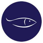 Fresh Norwegian Salmon Fish- Ocean Jewels