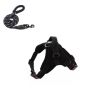 Dog Harness & Lead Black M