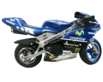 Rossi Motogp Replica Cag Model
