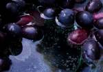 Fizzy Grape Concentrate - 50ML