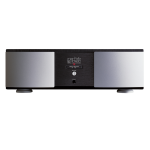Mark Levinson No 434 Single Mono Block