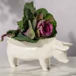Pig Bowl Fruit Bowl - Gloss White