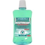 Dentalmate Mwash 250ML Vanilla Mint