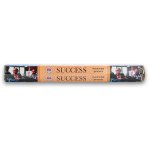 Divine Incense Sticks Small 15 Pack - The Spiritual Elevation - Success