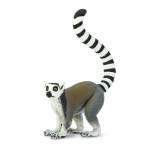 Ring Tailed Lemur By