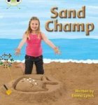 Phonics Bug Non-fiction Set 08 Sand Champ Paperback