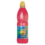 Watermelon Flavoured Drink 500ML