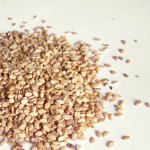 Sesame Seed