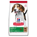 Hills Science Plan Lamb And Rice Medium Breed Puppy