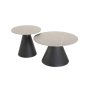 - Sherry Set Of 2 Stone Top Coffee Table - White