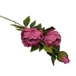 Peony 92CM - Pink
