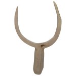 Carved Wooden Antelope Horn Decoration 50CM