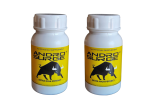Andro Surge Muscle Enhancement 60'S +60'S Combo
