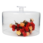 Straight Sided Glass Dome 20CM H X 30CM W - 20CM H X 30CM W