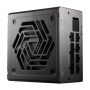 Fsp Vita Gm 850W 80+ Gold Atx 3.1 Pcie 5.1 Fully-modular Power Supply