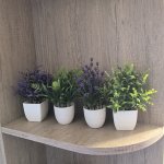 Miniature Artificial Greenery Potted Plant - Perfect For Home Decor: Suitable For Tabletop Display Ideal For Bedrooms And Made O