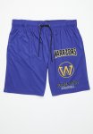 NBA Golden State Warriors Core Rockstar Mesh Shorts - Blue