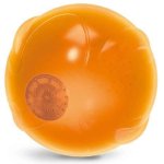 All For Paws Anti Anxiety Speaking Ball Waggs Online Pet Shop