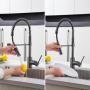 Delinia Kitchen Sink Mixer Tap Tomas Spring Neck Titan Brushed H46CM Spout Reach 27CM