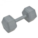Everlast 12.5kg Rubber Hex Dumbbell