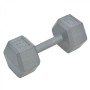 Everlast 12.5kg Rubber Hex Dumbbell