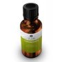 Oil - Lemongrass