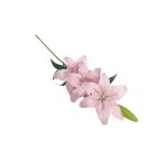 Lily 95CM - Light Pink