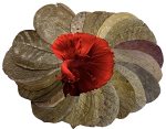 Awesome Aquatic Betta & Shrimp Leaves 30 4"-6" Premium Catappa Indian Almond Leaves Natural Habitat Tannin Producing Improves Im