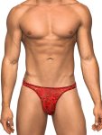 Stretch Lace Bong Thong - Red
