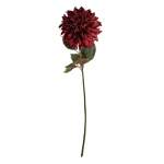 Dahlia Burgundy 16X73CM