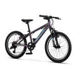 Starlet 20 Inch