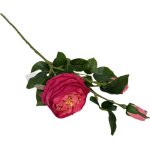 Rose Stem 70CM - D pink