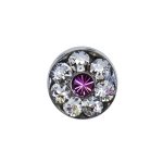 Stainless Steeldaisy Sensitive Assorted - Crystal & Rose