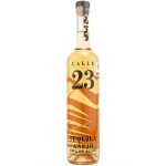 23 A Ejo