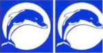Fibreglass Pool Mosaic - Dolphin Mosaic Lt Blue - Mypool.co.za Premier Online Swimming Pool Equipment Parts And Chemical Store