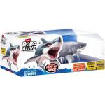 Shark Attack