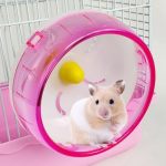 Silent Hamster Wheel Small Animals Running Exercise Wheel For Small Pet 5.5" Small Pink