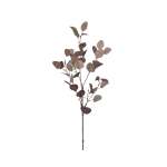 Burgundy Eucalyptus Stem - 94CM