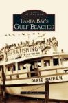 Tampa Bay& 39 S Gulf Beaches Hardcover