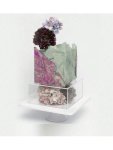 Acrylic Square Clear Box 12 30CM